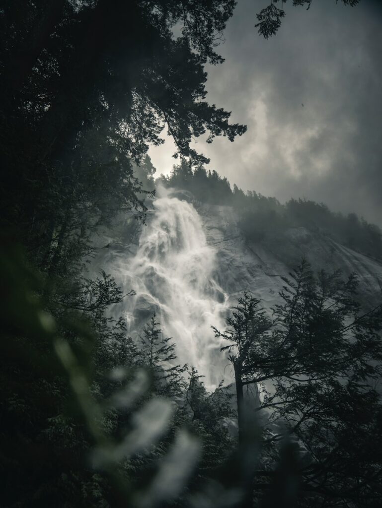 Forêt tropicale humide de Bornéo