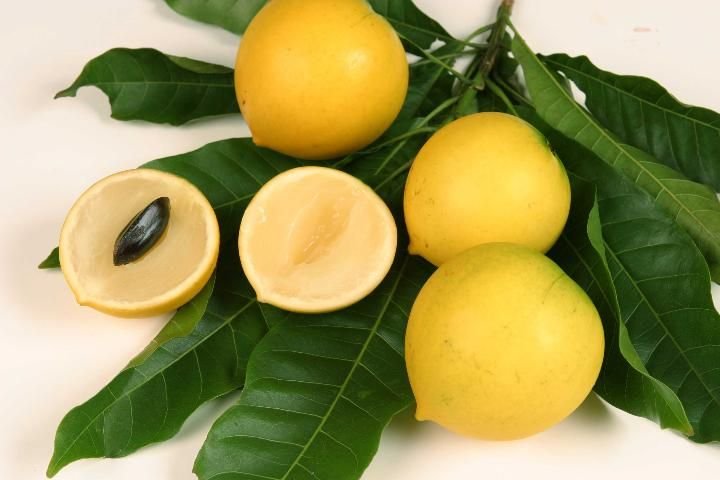 Abiu : Propriétés et bienfaits