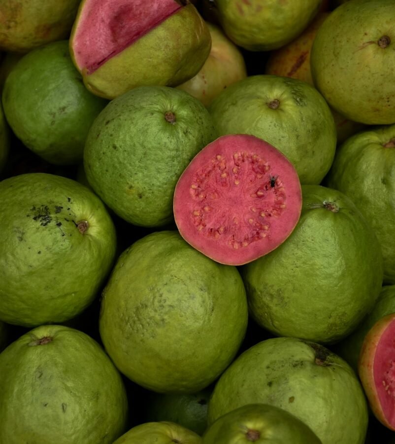 Goyave : Propriétés et bienfaits