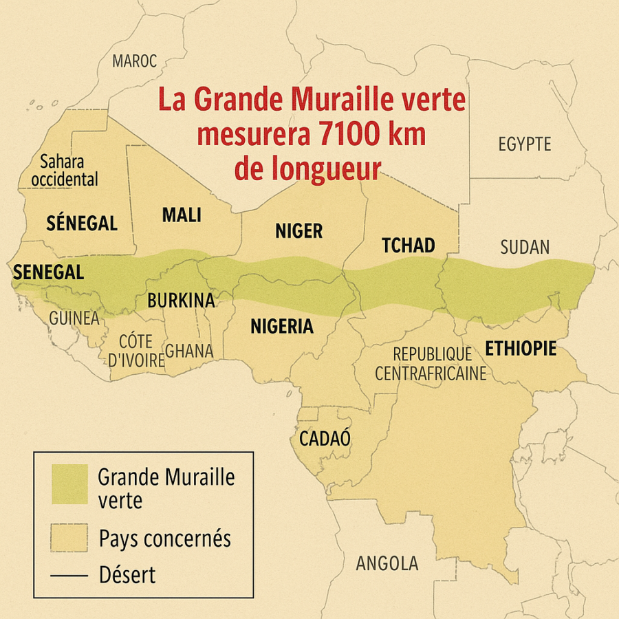 La Grande Muraille verte - Un Projet Ambitieux