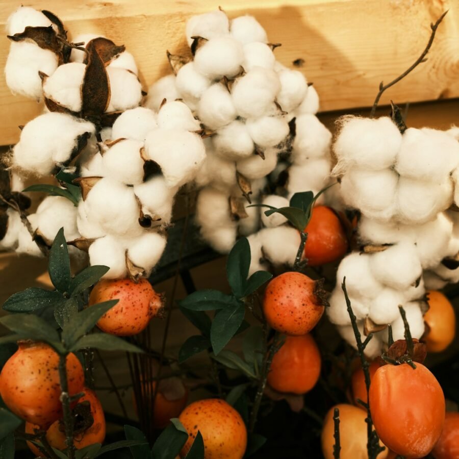 red and white round fruits