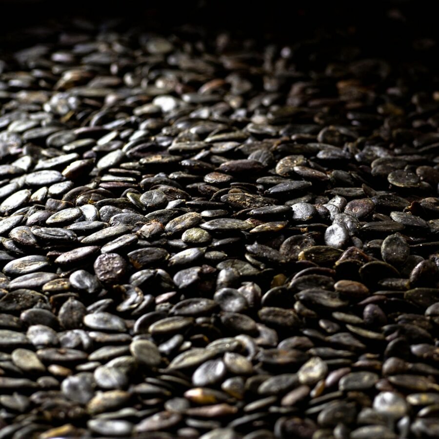 Graine de courge : Propriétés et bienfaits