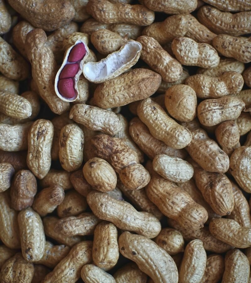 Cacahuète : Propriétés et bienfaits