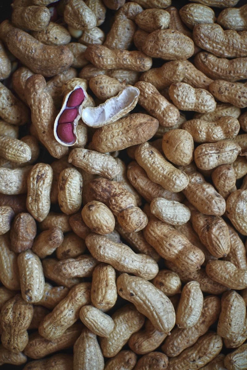 Cacahuète : Propriétés et bienfaits