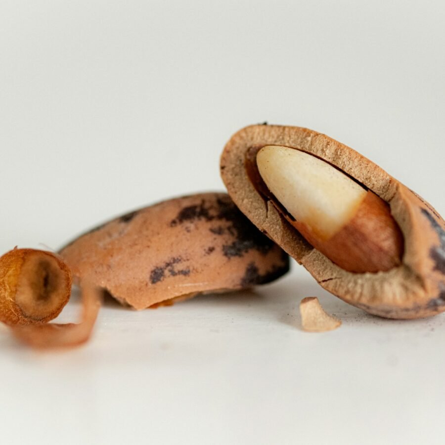 Noix du Brésil : Propriétés et bienfaits