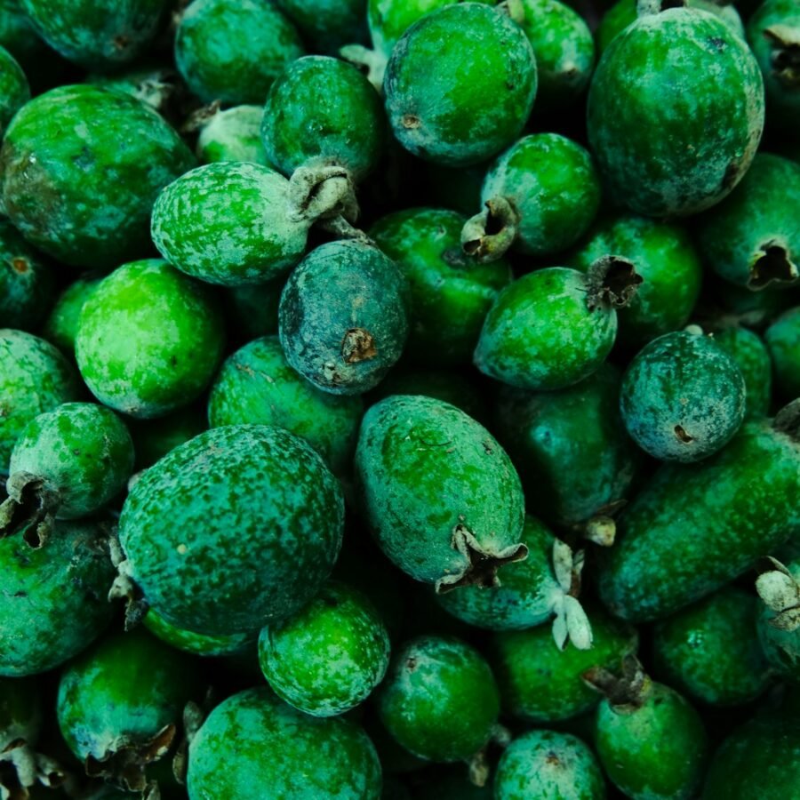 Feijoa : Propriétés et bienfaits