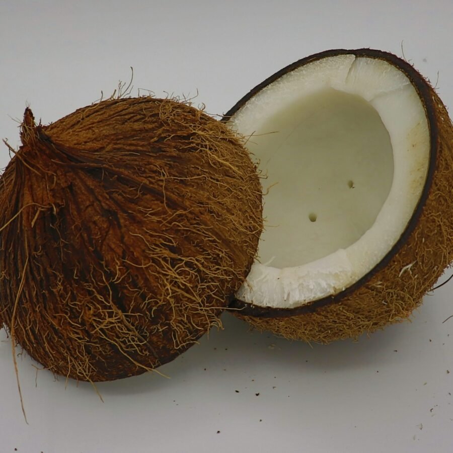 Noix de coco : Propriétés et bienfaits