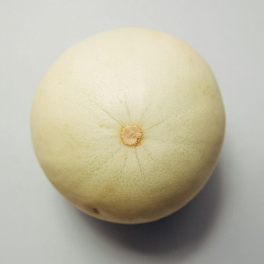 Melon Honeydew (melon blanc) : Propriétés et bienfaits