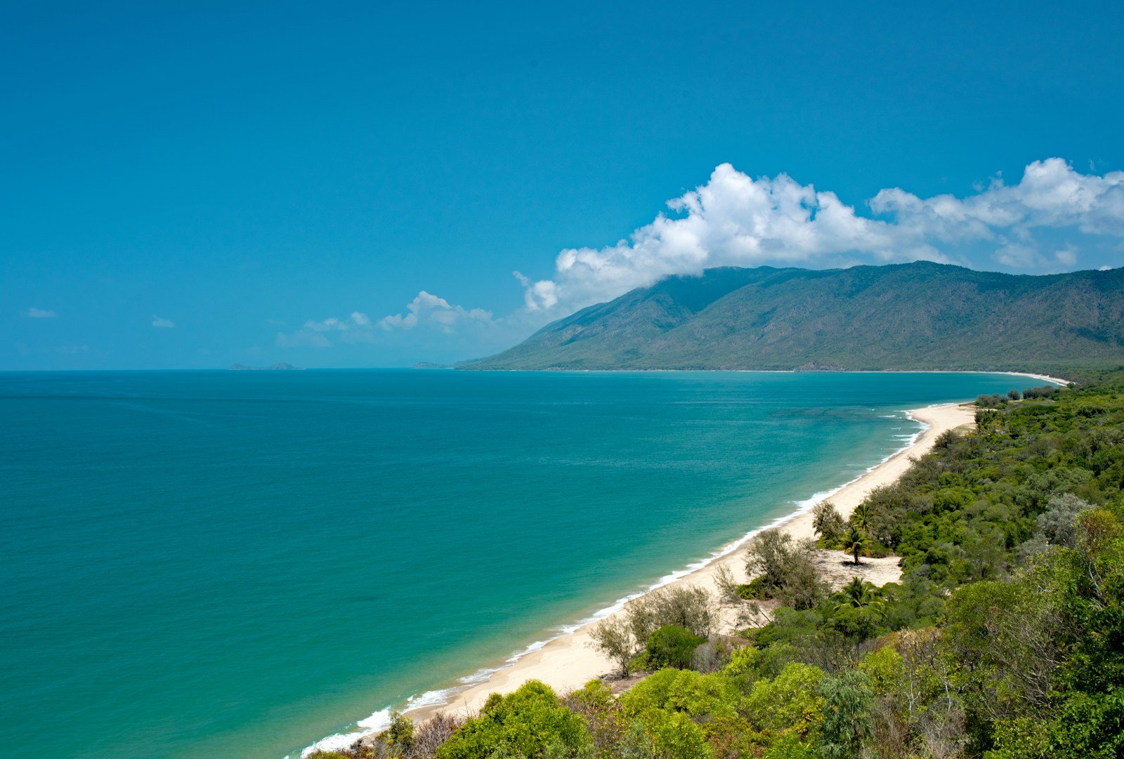 Timor oriental