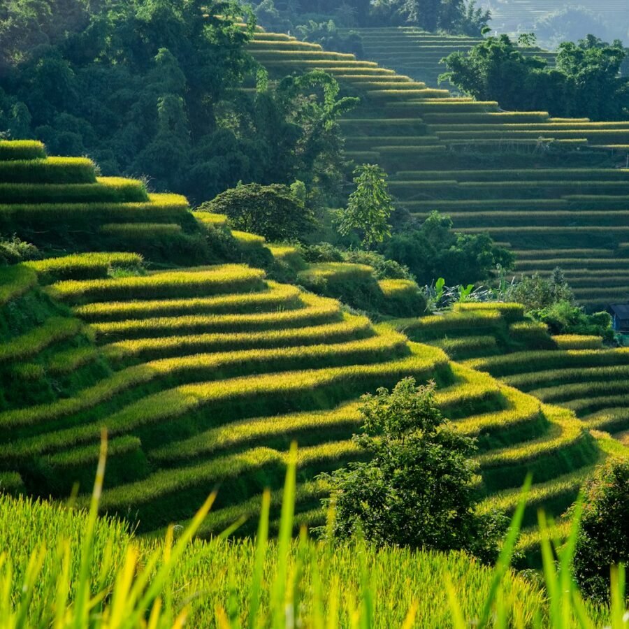 Vietnam