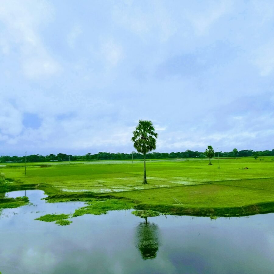 green grass field near lake under white clouds during daytime