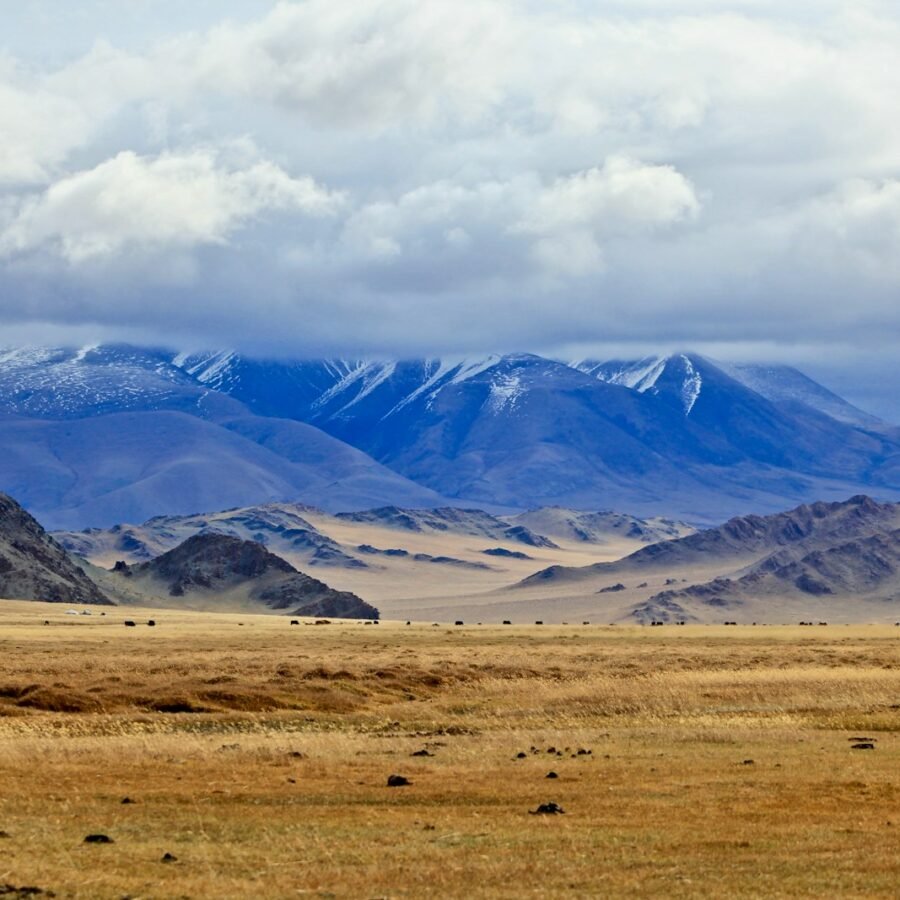 brown grass field near snow covered mountains during daytime