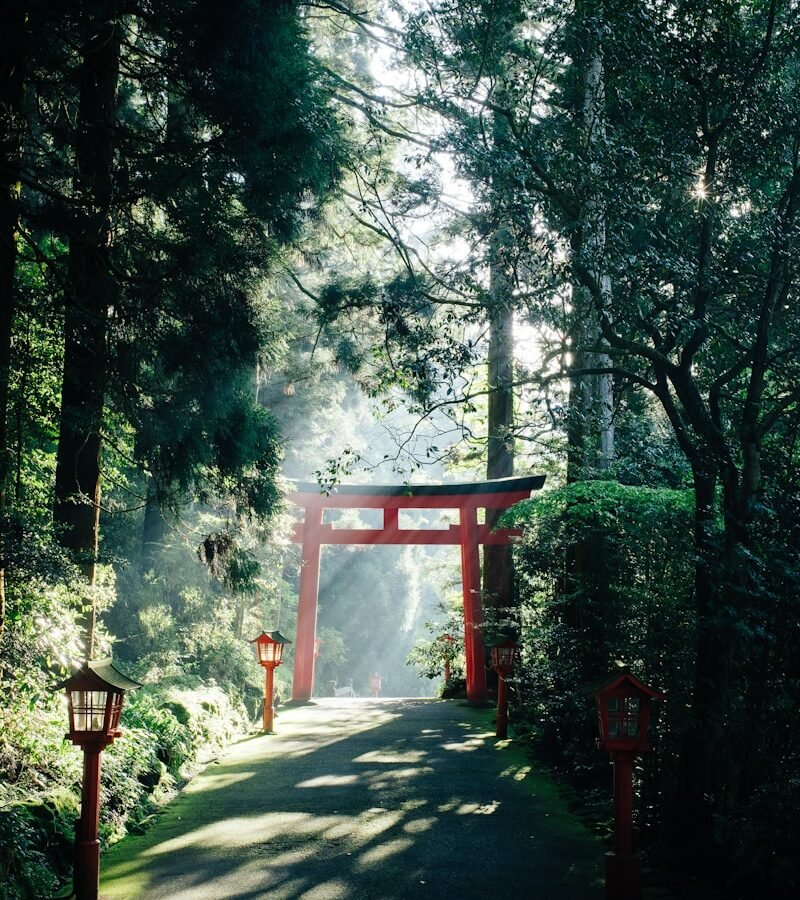 red wooden cross on gray concrete pathway between green trees during daytime