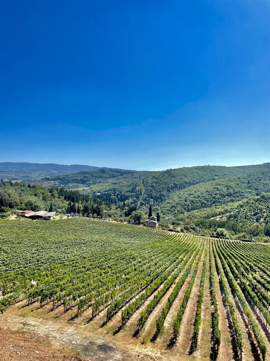 Côte de Beaune