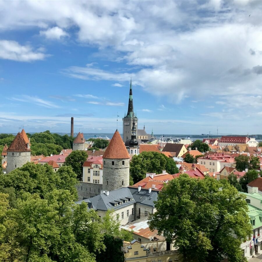 aerial photo of city building
