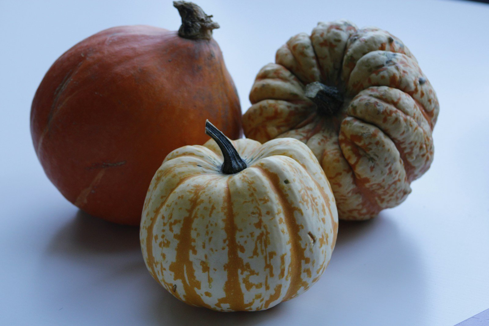 Potimarron