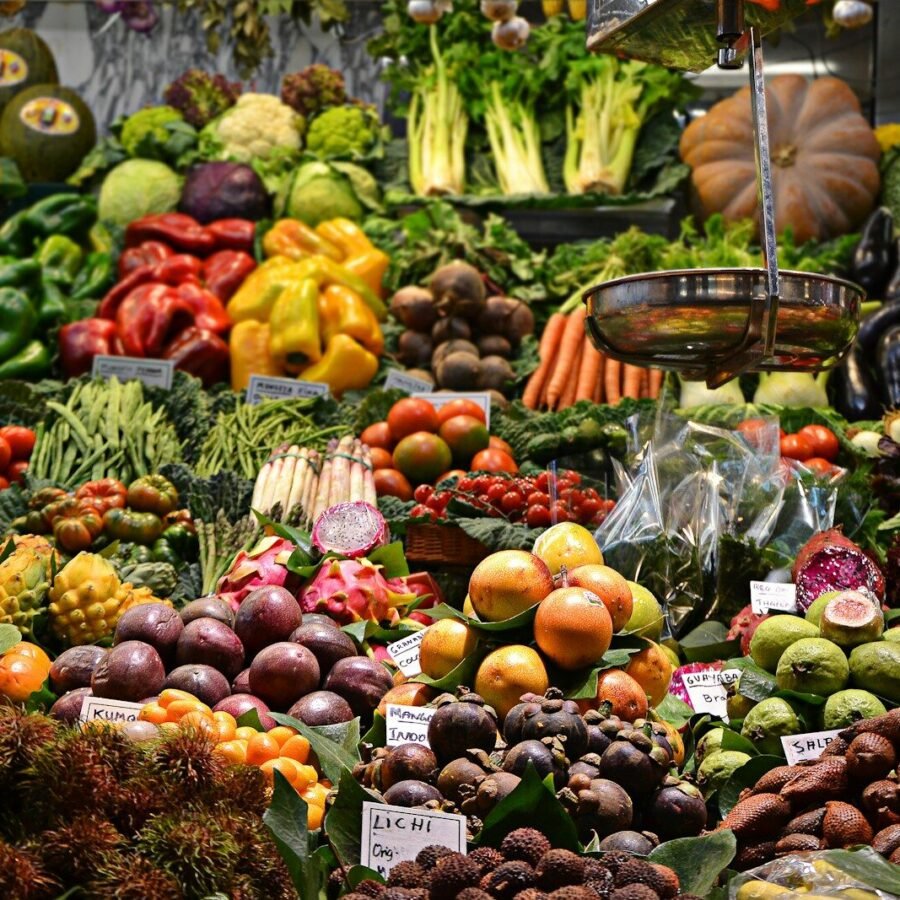 Les fruits du monde : couleurs, goûts et bienfaits