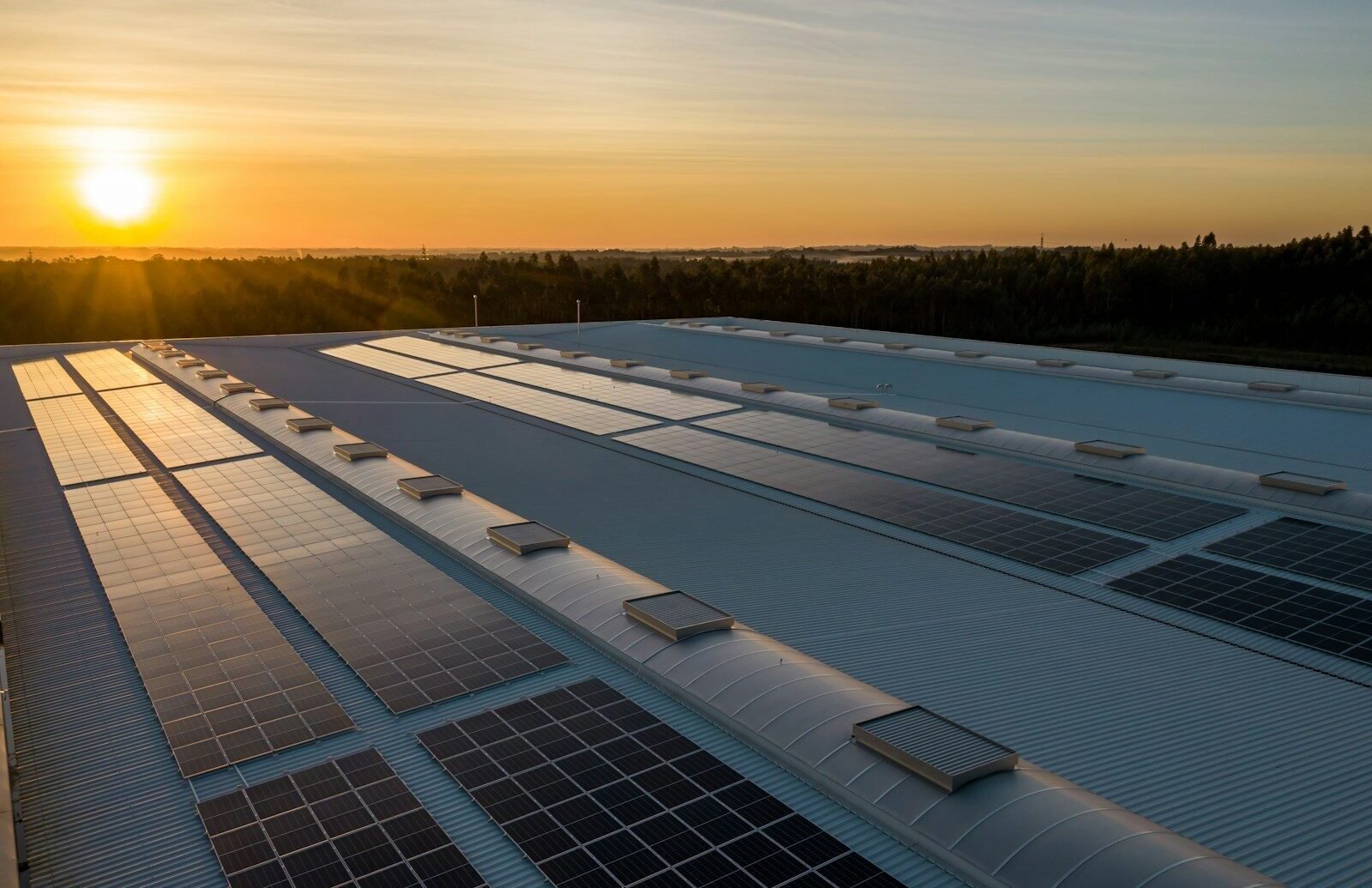 Énergies renouvelables : ce que les chiffres du photovoltaïque révèlent sur la place du solaire